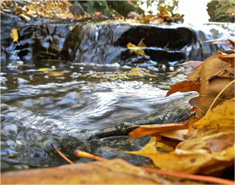 帮您提升效率的短信电话云轰炸
